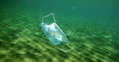 В мировой океан попало 26 тыс. тонн масок и других пластиковых медицинских отходов, – ученые
