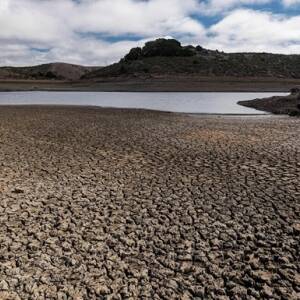 От засухи на юге США страдают 19 млн человек