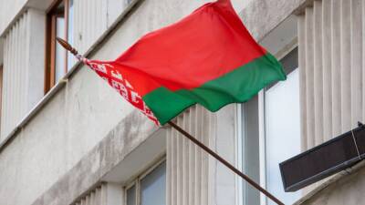 Житель Солигорска испортил красно-зеленый флаг на здании школы