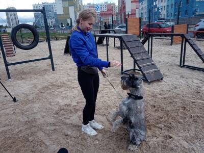 16 площадок для собак появилось в Нижнем Новгороде в 2021 году - vgoroden.ru - Нижний Новгород - Благоустройство