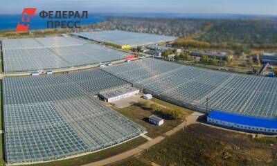 Челябинский агрокомплекс «Чурилово» продан федеральному холдингу