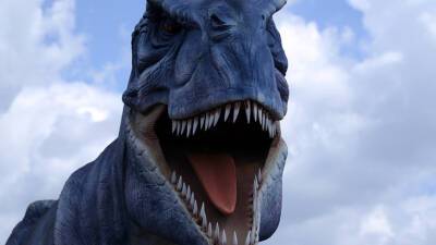 На острове Уайт нашли неизвестного науке динозавра