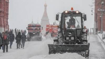 В Москве выпал первый снег