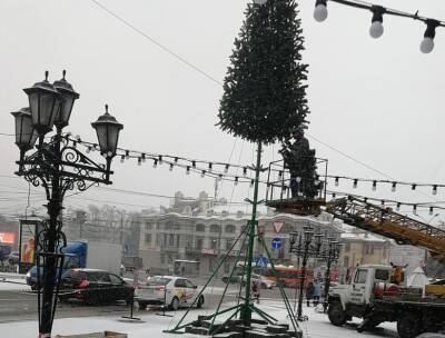Новогоднюю елку собирают в центре Сормова