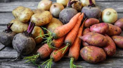Как сохранить картофель, морковь и свеклу до весны: 5 вариантов хранения урожая