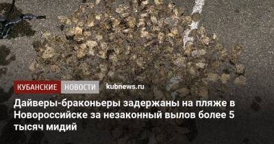 Дайверы-браконьеры задержаны на пляже в Новороссийске за незаконный вылов более 5 тысяч мидий