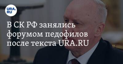 В СК РФ занялись форумом педофилов после текста URA.RU