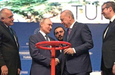 Турецкий гамбит. Зачем Эрдоган сталкивает «Росатом» и «Газпром»