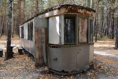 В лесу под Новосибирском нашли московские трамваи середины XX века