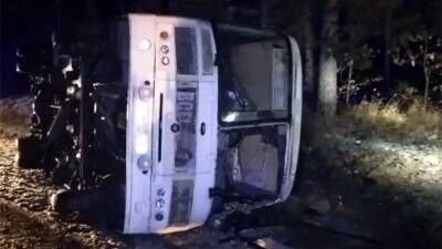 В Нижегородской области девять человек пострадали в аварии с рейсовым автобусом