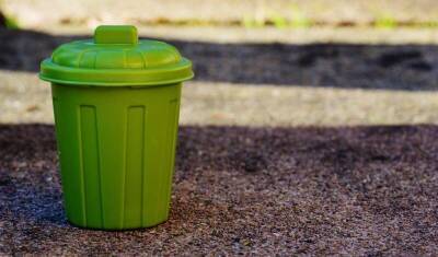 РЭО: Долги по услуге за вывоз мусора достигли 20%
