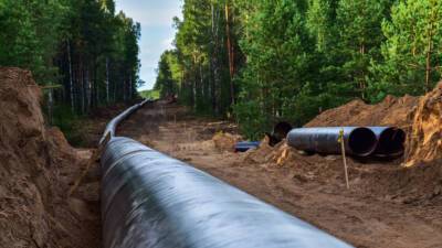 Стал известен срок строительства газопровода из России в Китай через территорию Монголии