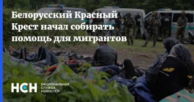 Белорусский Красный Крест начал собирать помощь для мигрантов