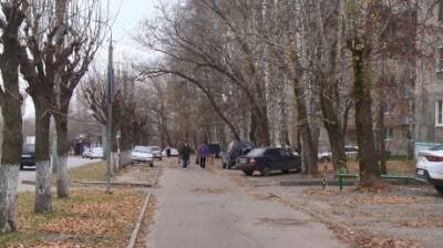 Старые деревья на улице Мира могут рухнуть на тротуар - penzainform.ru
