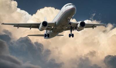 Стюардесса: зимой увеличивается число конфликтов пассажиров и авиакомпаний