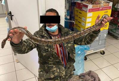 Курьезный случай в Гессене: мужчина со змеей в куртке пытался украсть бутылку водки