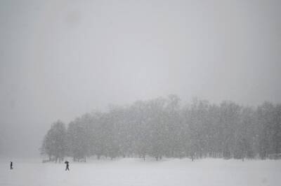 Московские коммунальщики заявили о готовности к обильным снегопадам