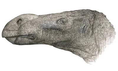 На острове Уайт нашли останки неизвестного науке динозавра
