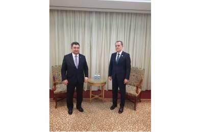 Глава МИД Азербайджана встретился с президентом Международной тюркской академии