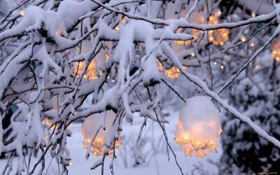 Украине пообещали аномальную зиму – прогноз синоптика на три месяца