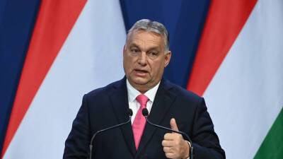 Орбан заявил о важности для Венгрии отношений с Россией, ФРГ и Турцией