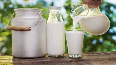 Как употребление молока отражается на организме и что такое «молочное лицо»