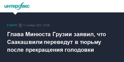 Глава Минюста Грузии заявил, что Саакашвили переведут в тюрьму после прекращения голодовки