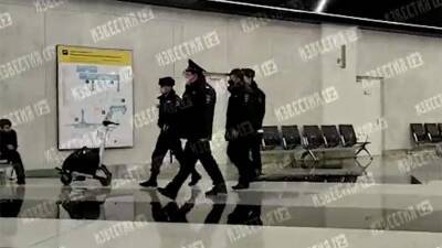 Брата Нурмагомедова вывели из отделения полиции аэропорта Шереметьево