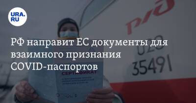 РФ направит ЕС документы для взаимного признания COVID-паспортов