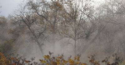 Погода в Украине: без осадков, местами туман (КАРТА)