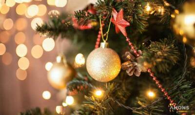 Как украсят новогоднюю елку в Киеве и чем будут удивлять украинцев во время праздника