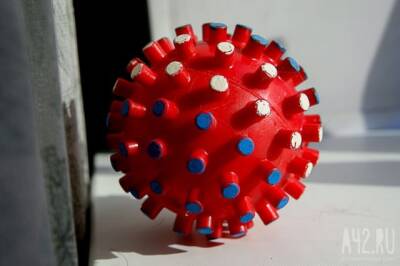 Российские учёные создали препарат, в 16 раз снижающий концентрацию коронавируса