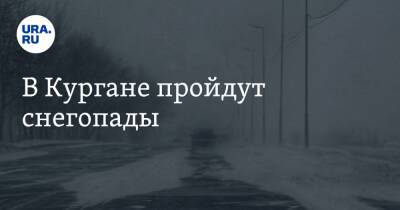 В Кургане пройдут снегопады