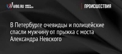 В Петербурге очевидцы и полицейские спасли мужчину от прыжка с моста Александра Невского