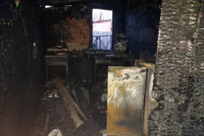 В Пензенской области возбуждено уголовное дело по факту смерти людей в пожаре в Каменке