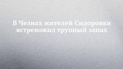 В Челнах жителей Сидоровки встревожил трупный запах