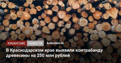 В Краснодарском крае выявили контрабанду древесины на 250 млн рублей