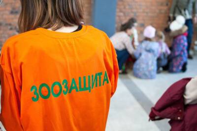 С псковскими зоозащитниками обсудили новый законопроект по обращению с животными