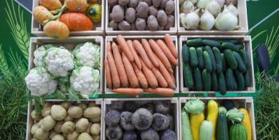 Минсельхоз предложил меры по стабилизации цен на овощи из "борщевого набора"
