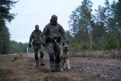Эстонцы в страхе перед миграционным нашествием с территории России укрепляют границу