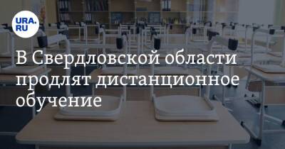 В Свердловской области продлят дистанционное обучение