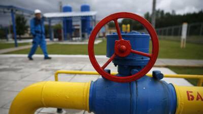 В Минэкономики ФРГ выразили сожаление из-за слов Лукашенко о транзите газа
