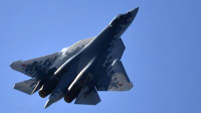 «Ростех» огласил список: Ближний Восток засматривается на российские боевые самолëты