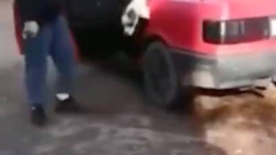 Появилось видео нападения собаки на женщину в Мытищах
