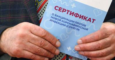 Стали известны данные купивших поддельные справки о вакцинации москвичей
