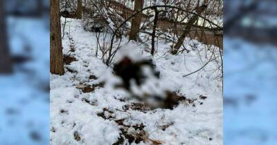 Двое мужчин замерзли насмерть в ущелье Дарденеллы в Приморье
