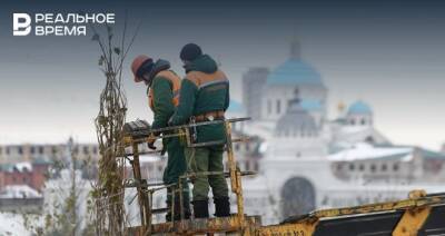 В Казани подготавливают деревья к зиме