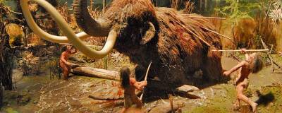 Люди ускорили вымирание шерстистых мамонтов на четыре тысячи лет