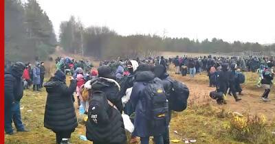 Группа мигрантов прорвалась из Белоруссии на территорию Польши