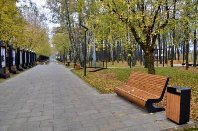 Первый этап реконструкции парка «Березовая роща» завершается в Дмитрове